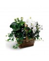 White Assortment Basket